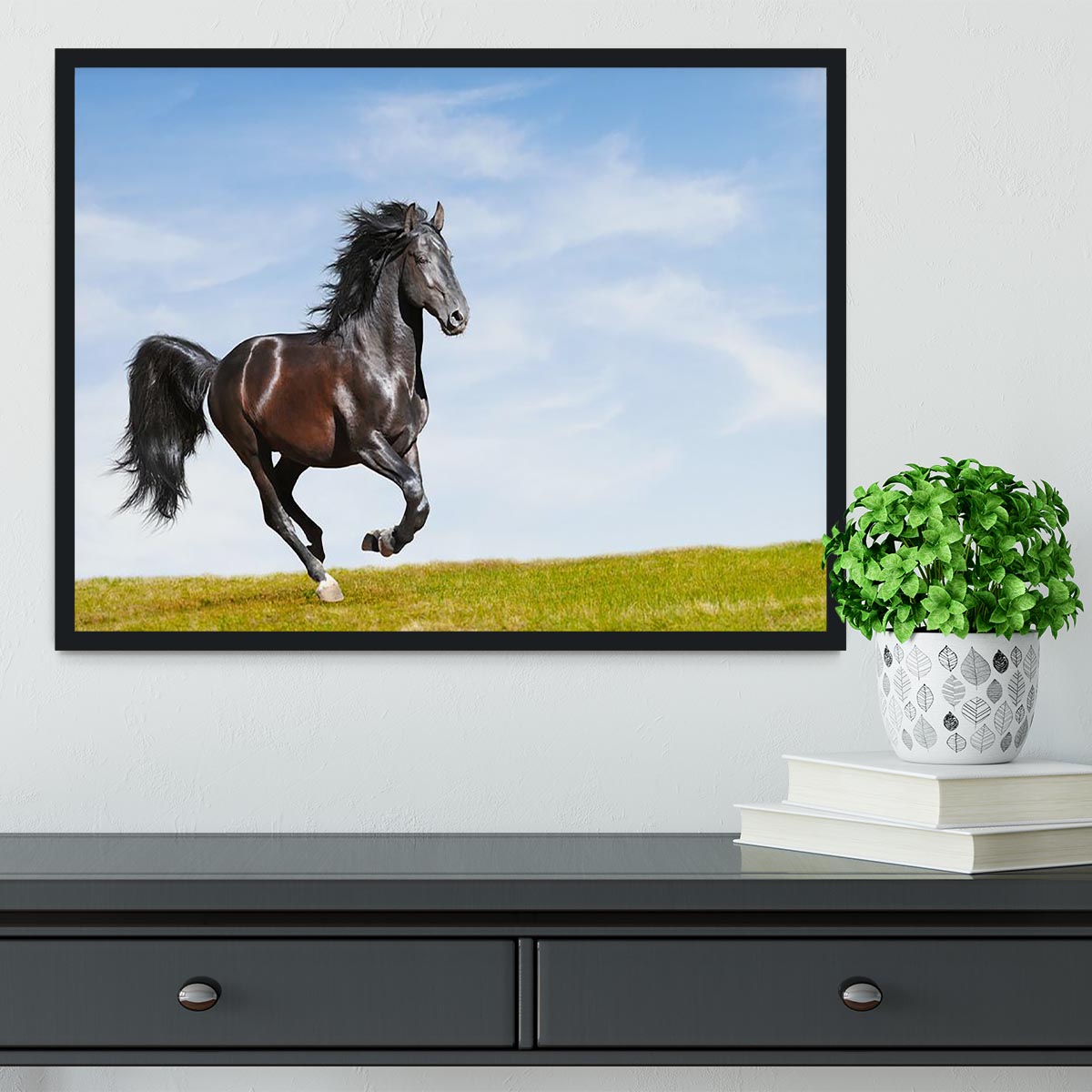 Black Kladruby horse rung gallop Framed Print - Canvas Art Rocks - 2