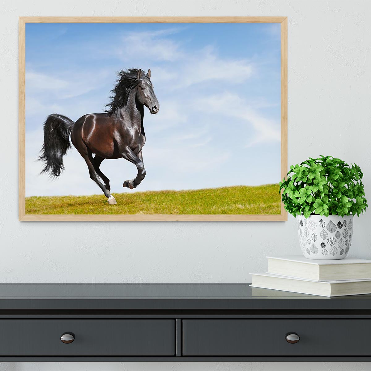 Black Kladruby horse rung gallop Framed Print - Canvas Art Rocks - 4