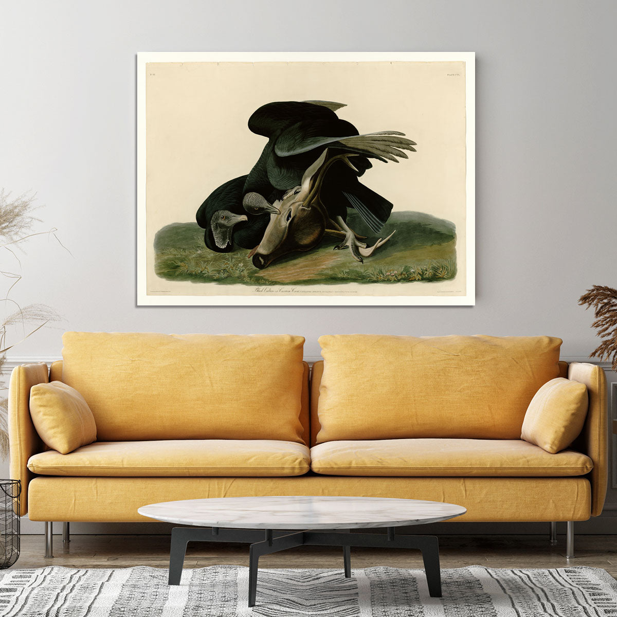 Black Vulture by Audubon Canvas Print or Poster - Canvas Art Rocks - 4