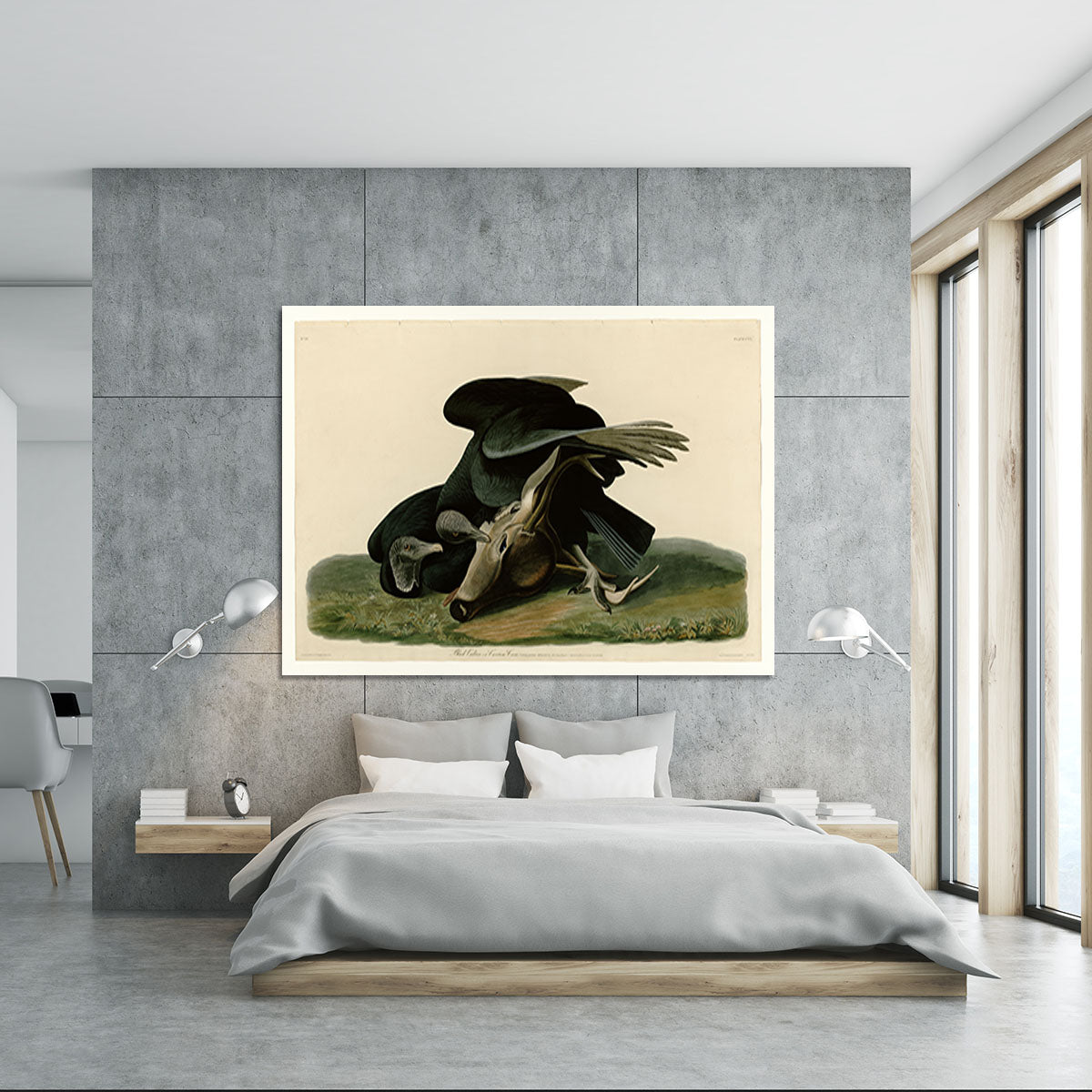 Black Vulture by Audubon Canvas Print or Poster - Canvas Art Rocks - 5
