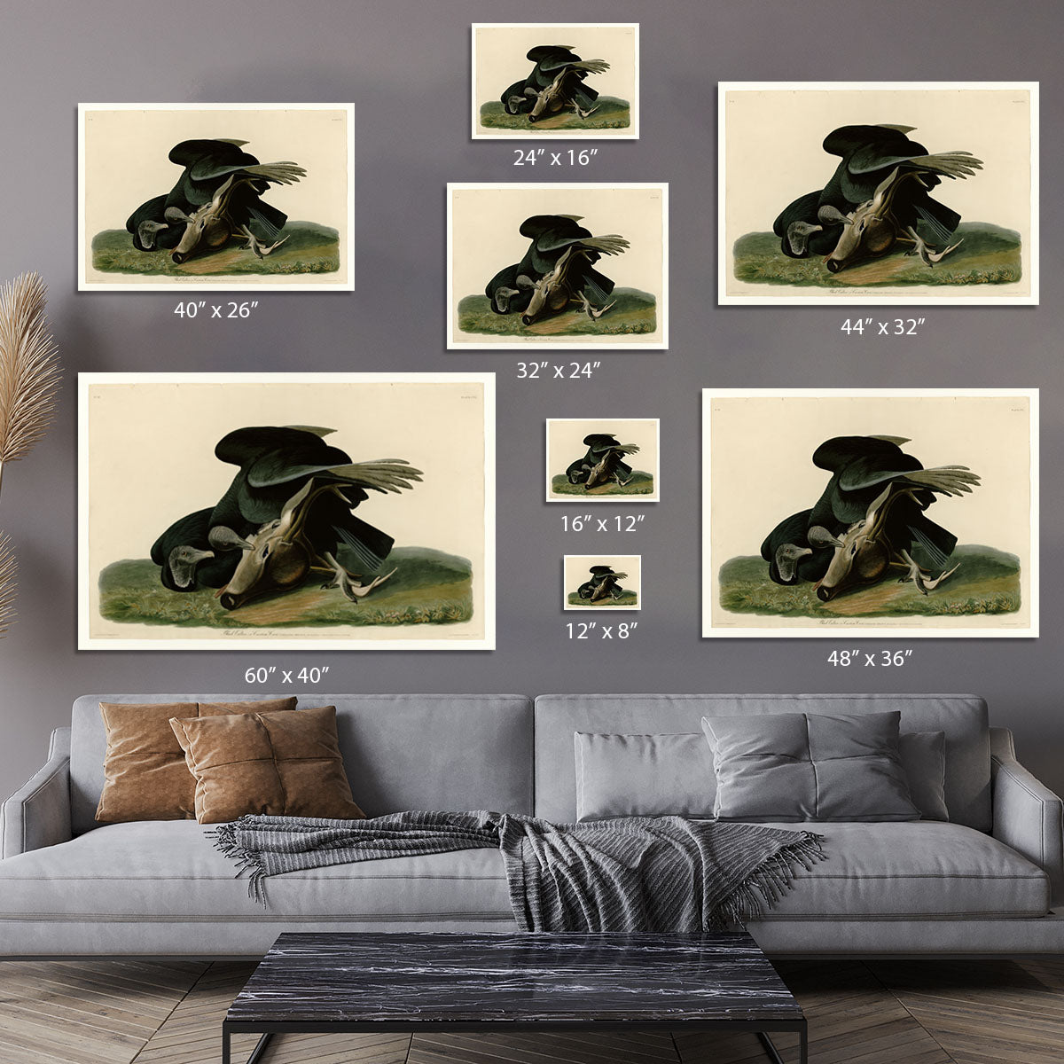 Black Vulture by Audubon Canvas Print or Poster - Canvas Art Rocks - 7