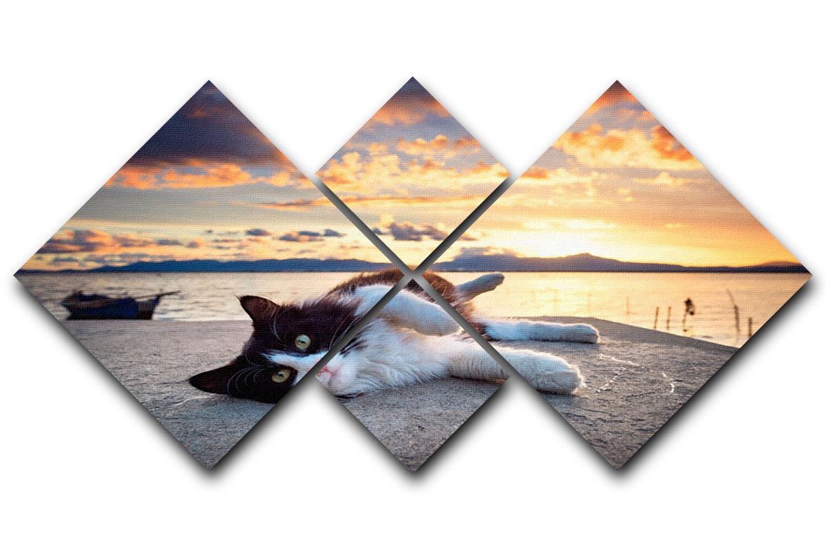 Black and white cat lying under a dramatic sunset 4 Square Multi Panel Canvas - Canvas Art Rocks - 1