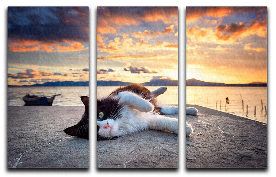 Black and white cat lying under a dramatic sunset on the lagoon 3 Split Panel Canvas Print - Canvas Art Rocks - 1