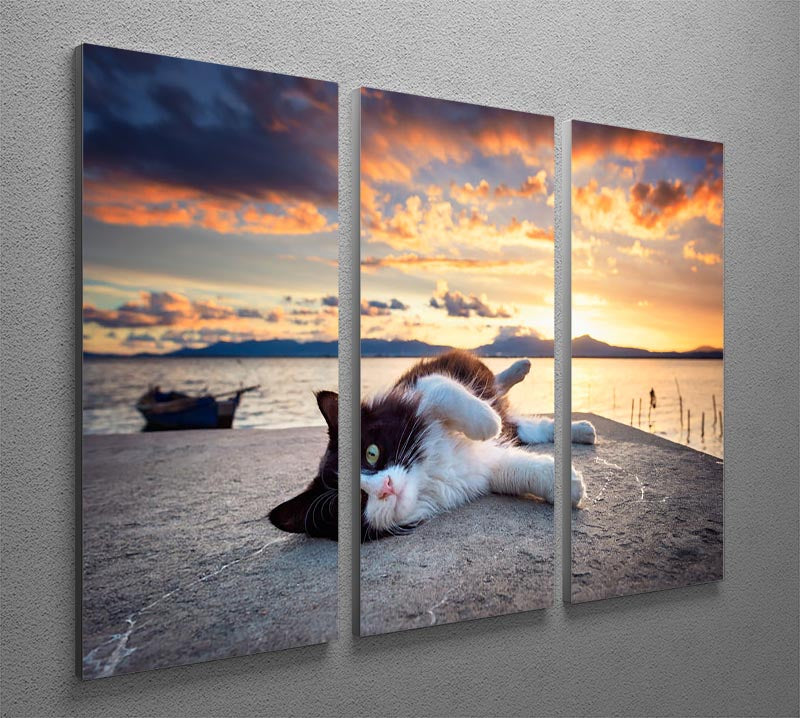 Black and white cat lying under a dramatic sunset on the lagoon 3 Split Panel Canvas Print - Canvas Art Rocks - 2
