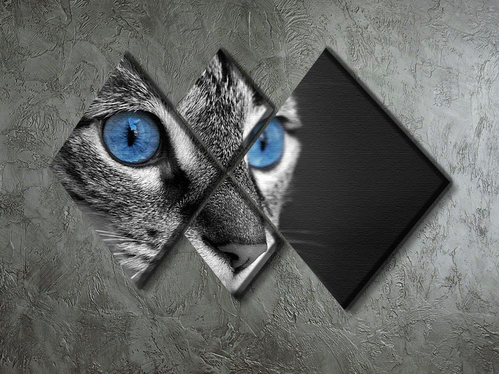 Black and white close up of cat with deep blue eyes 4 Square Multi Panel Canvas - Canvas Art Rocks - 2