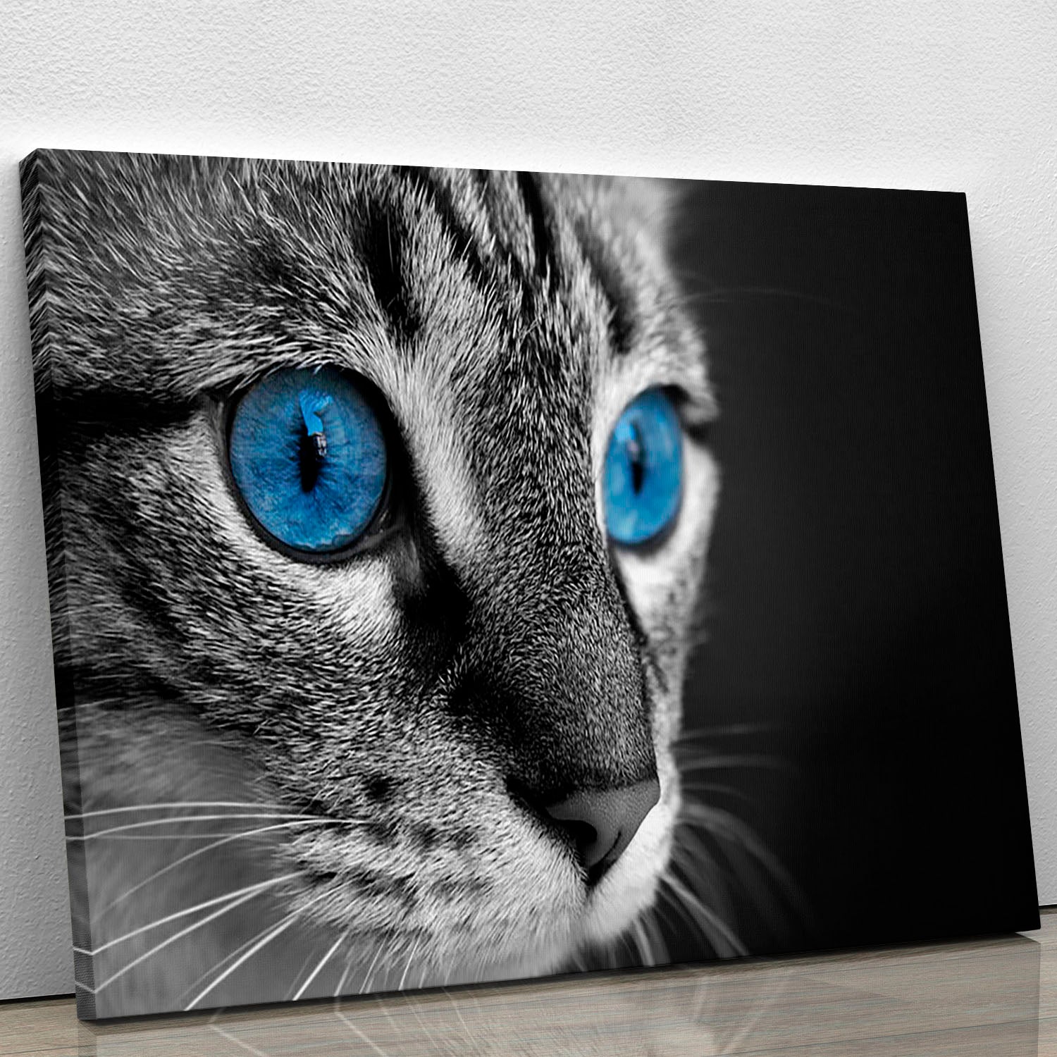 Black and white close up of cat with deep blue eyes Canvas Print or Poster - Canvas Art Rocks - 1