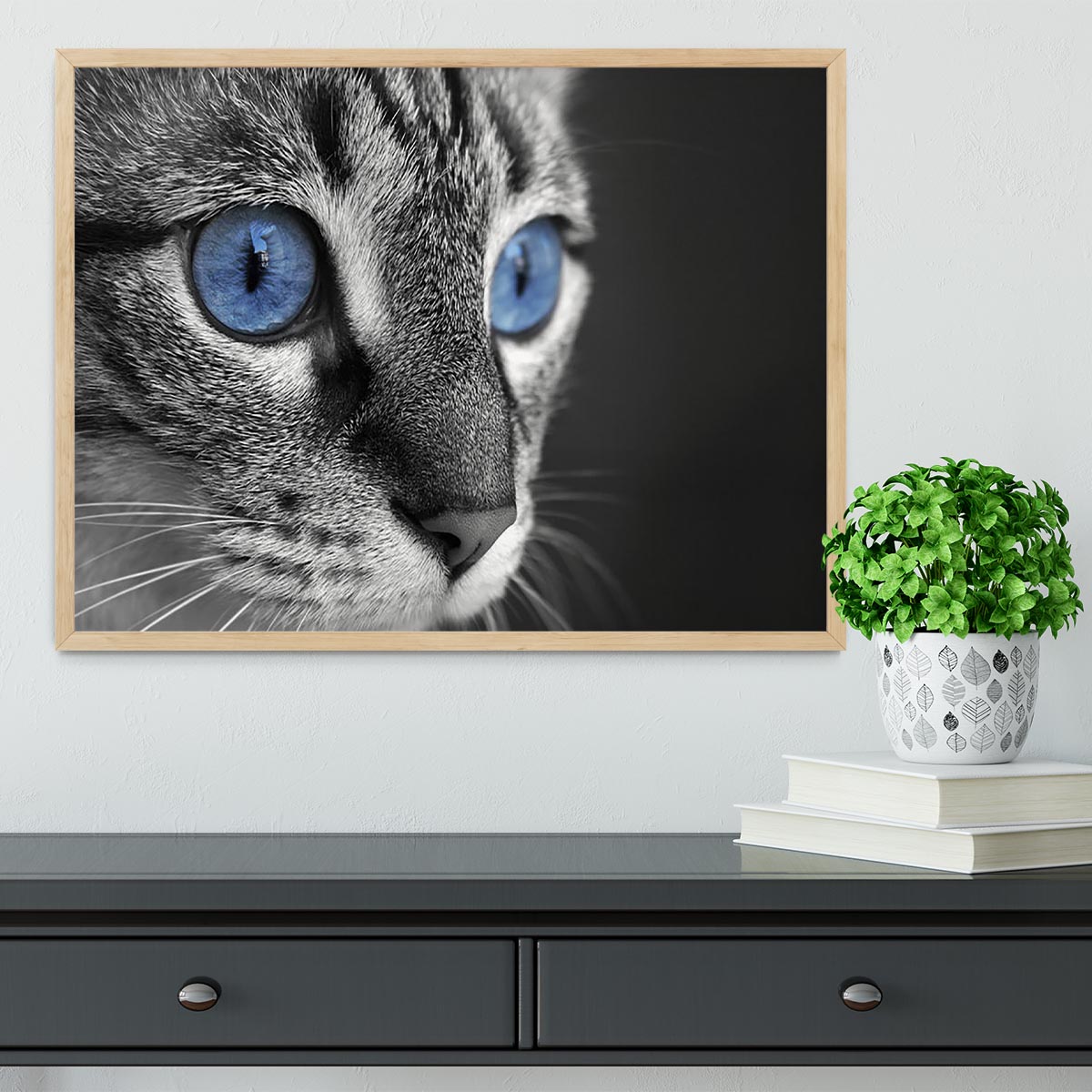 Black and white close up of cat with deep blue eyes Framed Print - Canvas Art Rocks - 4