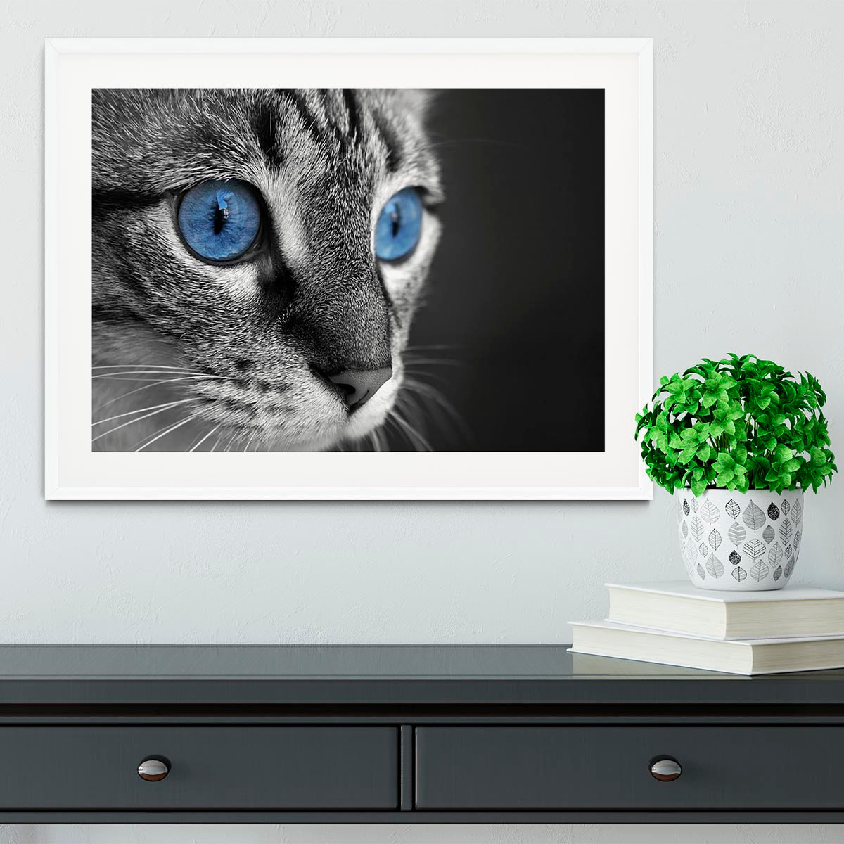 Black and white close up of cat with deep blue eyes Framed Print - Canvas Art Rocks - 5