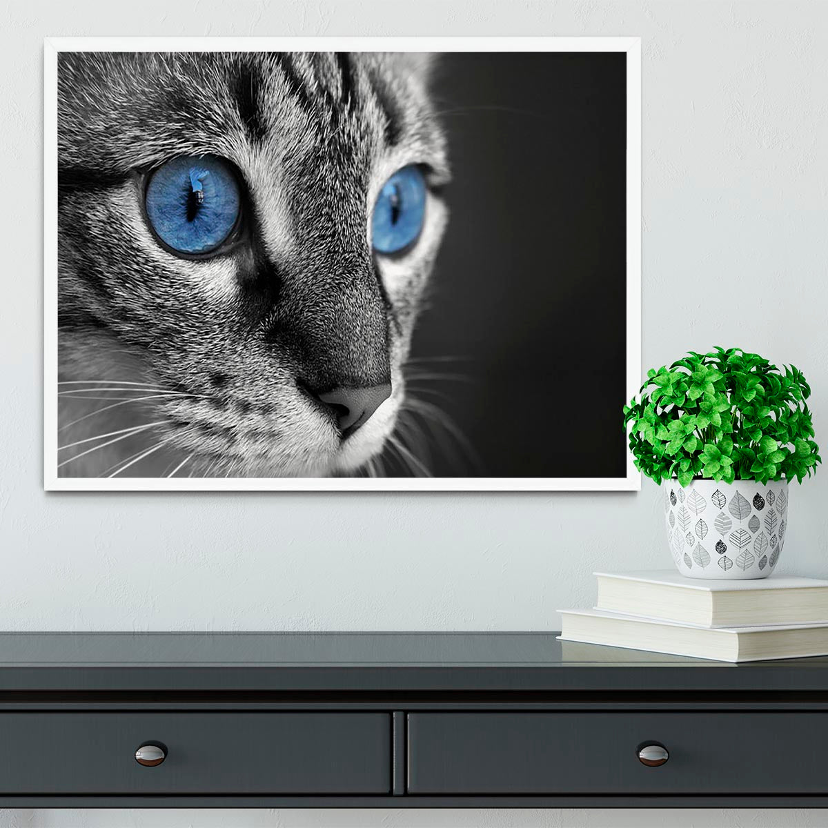 Black and white close up of cat with deep blue eyes Framed Print - Canvas Art Rocks -6