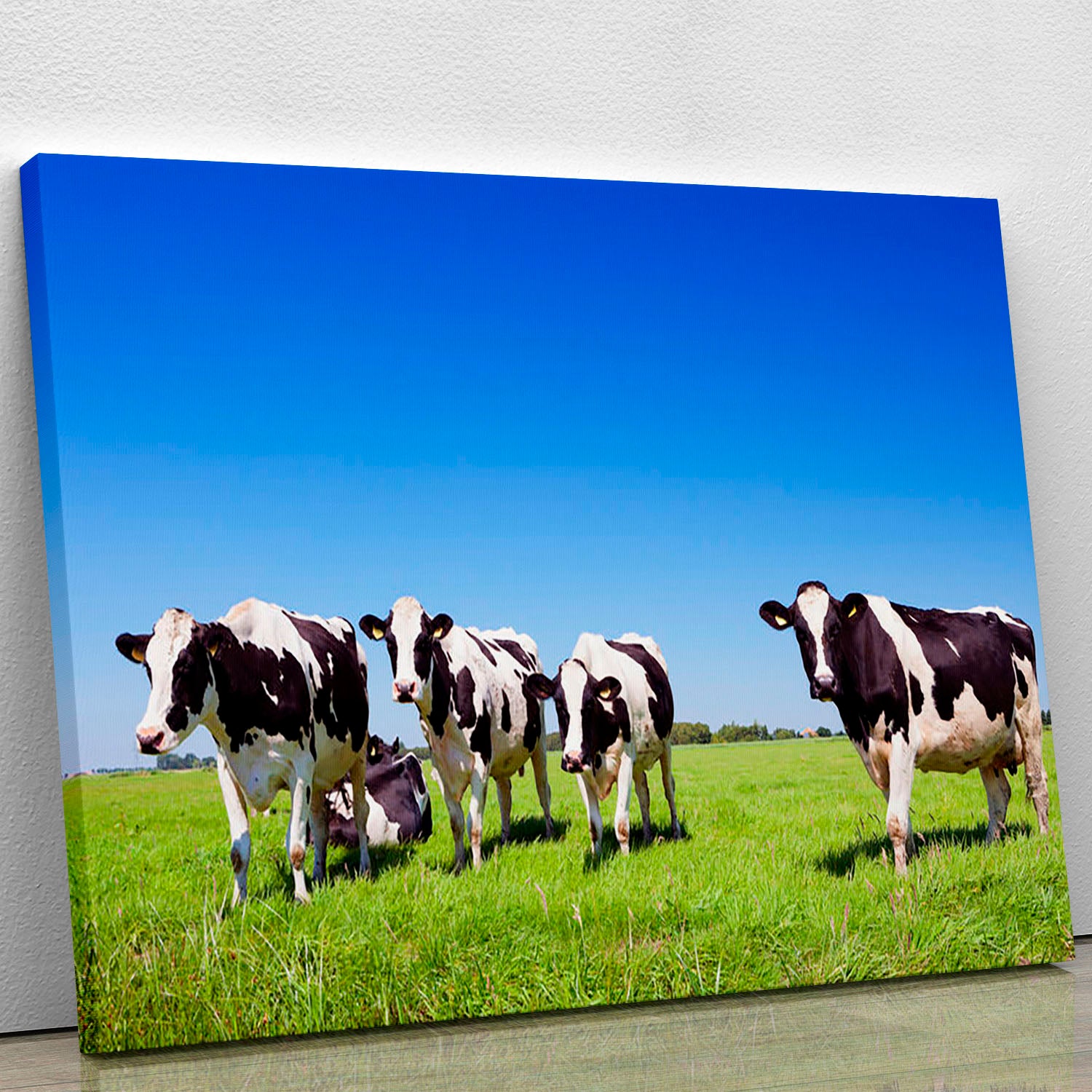 Black and white cows in a grassy field Canvas Print or Poster - Canvas Art Rocks - 1