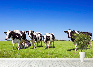 Black and white cows in a grassy field Wall Mural Wallpaper - Canvas Art Rocks - 4