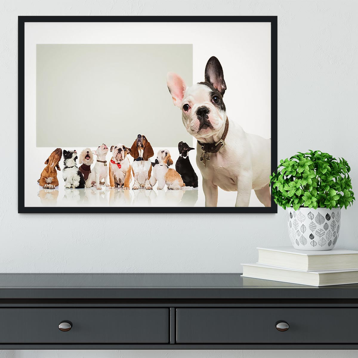 Black and white french bulldog puppy Framed Print - Canvas Art Rocks - 2