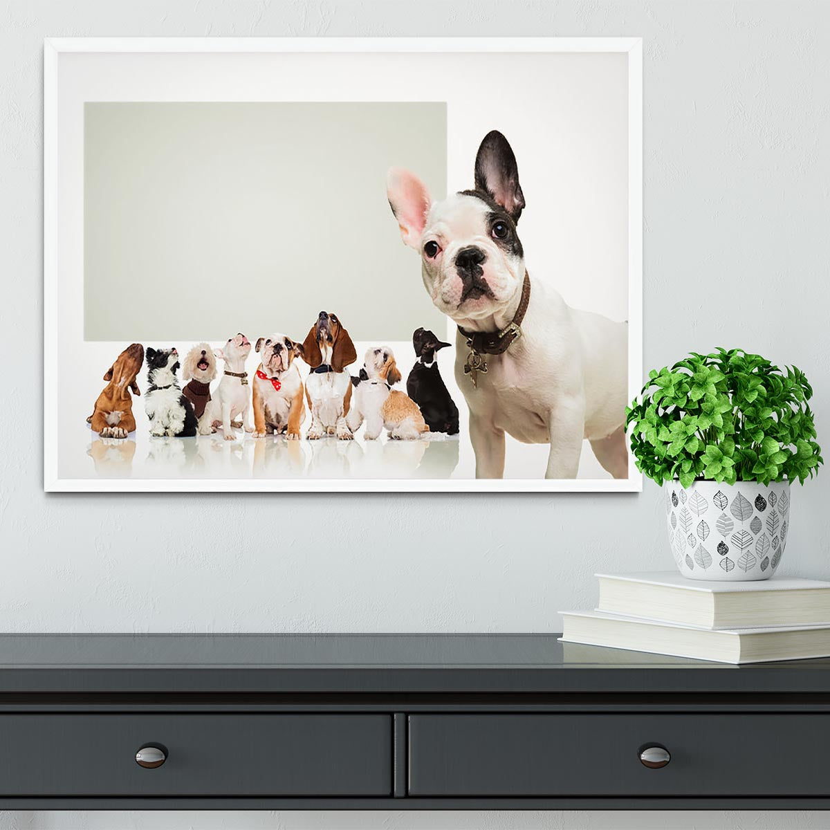 Black and white french bulldog puppy Framed Print - Canvas Art Rocks -6