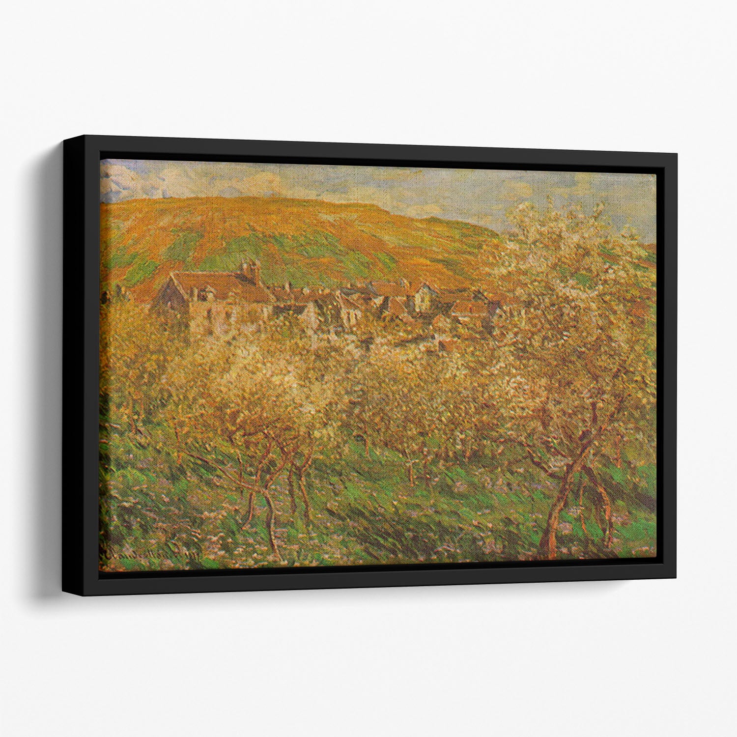 Blooming apple trees by Monet Floating Framed Canvas