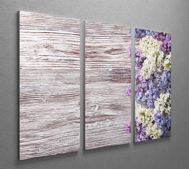 Blossom branch on wooden 3 Split Panel Canvas Print - Canvas Art Rocks - 2
