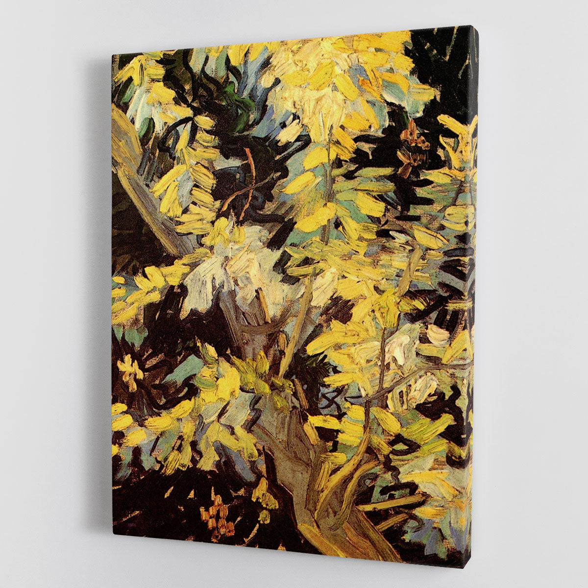 Blossoming Acacia Branches by Van Gogh Canvas Print or Poster - Canvas Art Rocks - 1