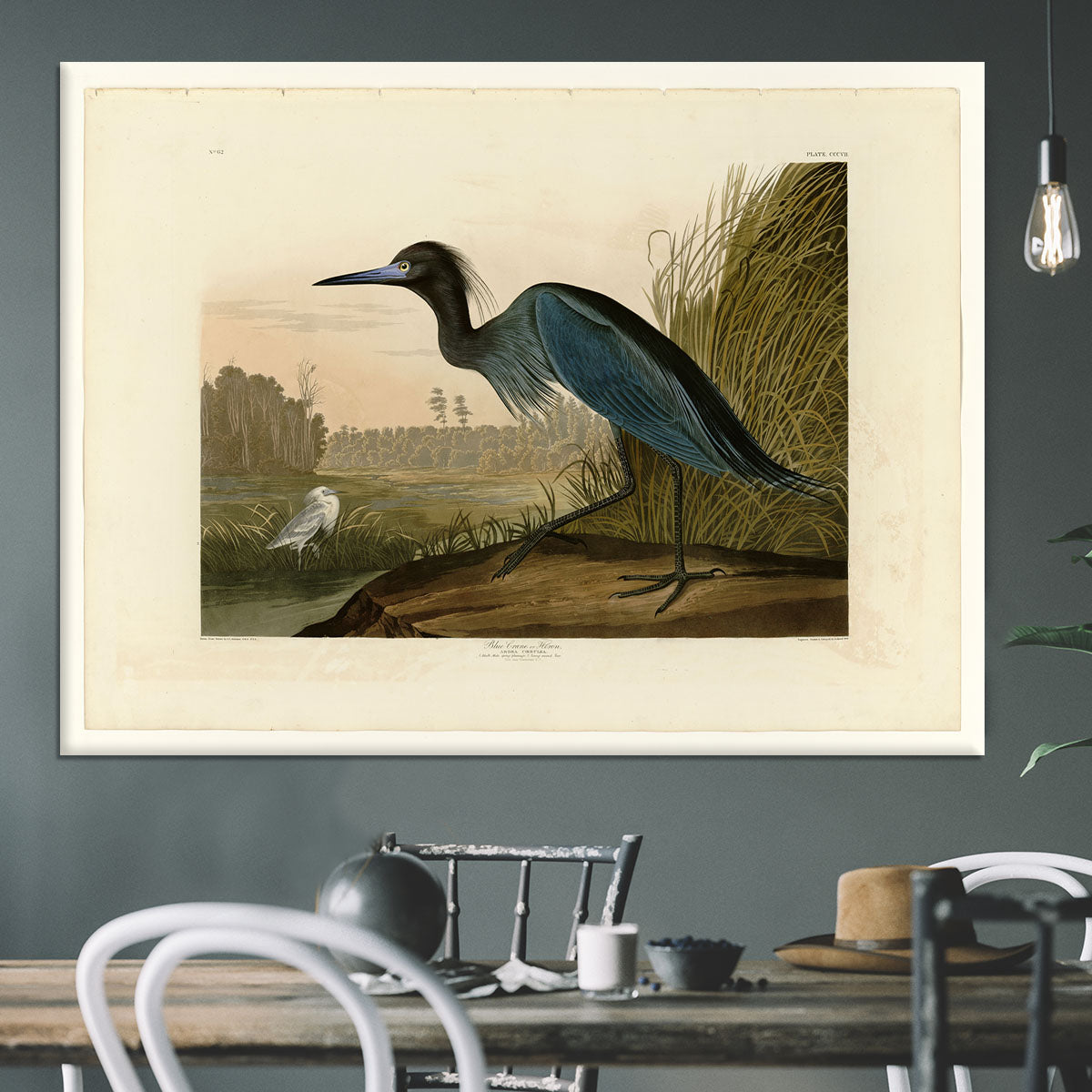 Blue Crane by Audubon Canvas Print or Poster - Canvas Art Rocks - 3