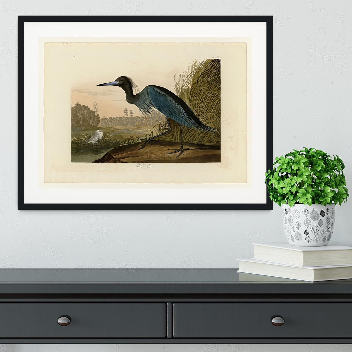 Blue Crane by Audubon Framed Print - Canvas Art Rocks - 1