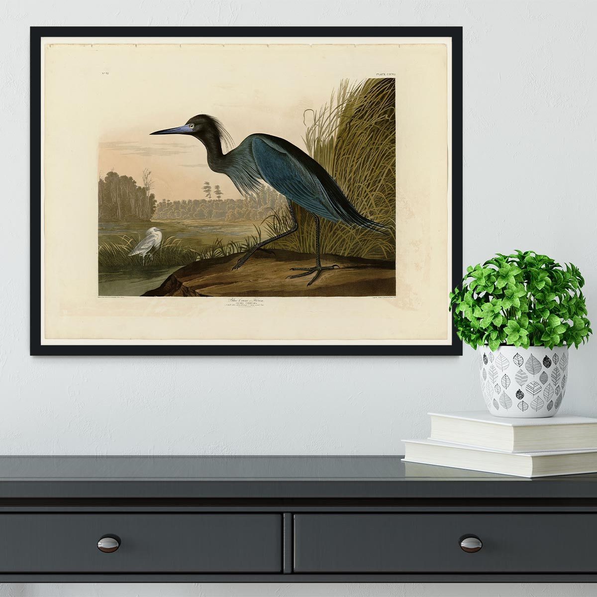 Blue Crane by Audubon Framed Print - Canvas Art Rocks - 2