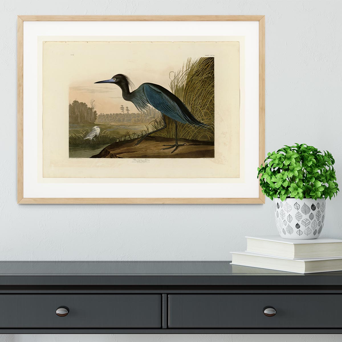 Blue Crane by Audubon Framed Print - Canvas Art Rocks - 3