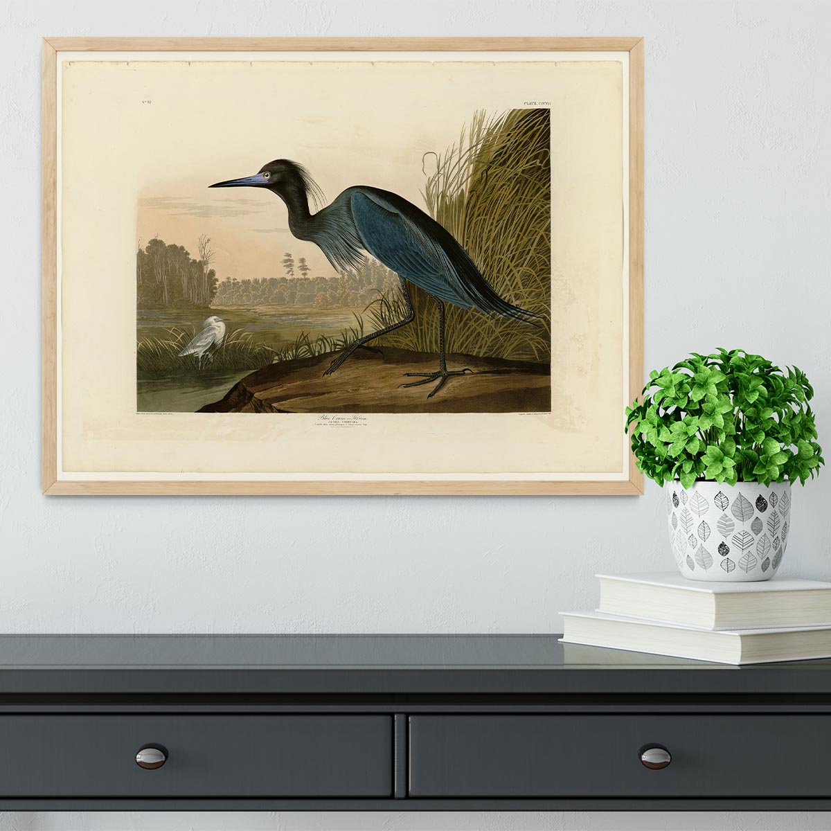 Blue Crane by Audubon Framed Print - Canvas Art Rocks - 4