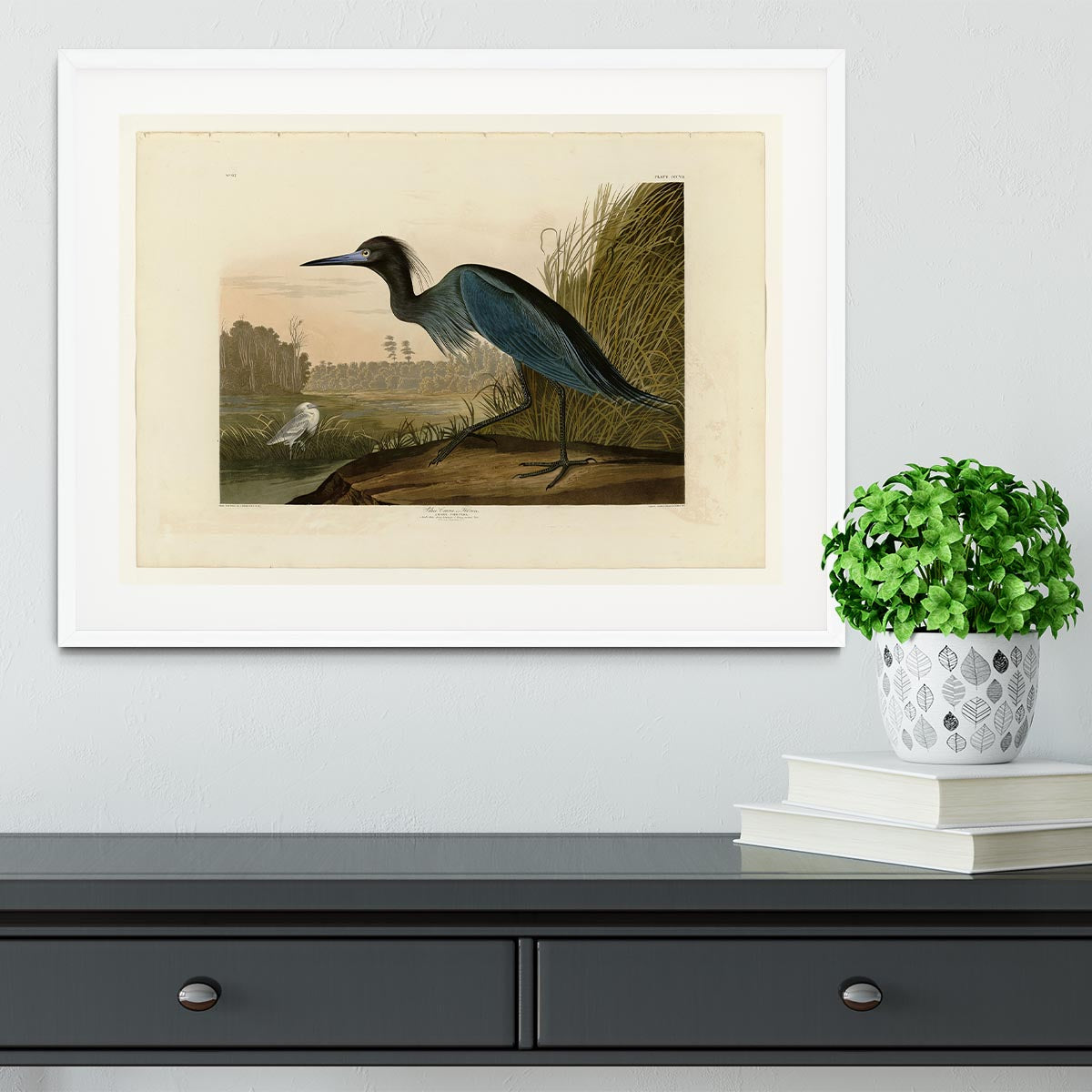 Blue Crane by Audubon Framed Print - Canvas Art Rocks - 5