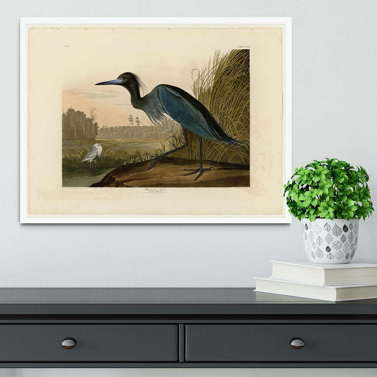 Blue Crane by Audubon Framed Print - Canvas Art Rocks -6