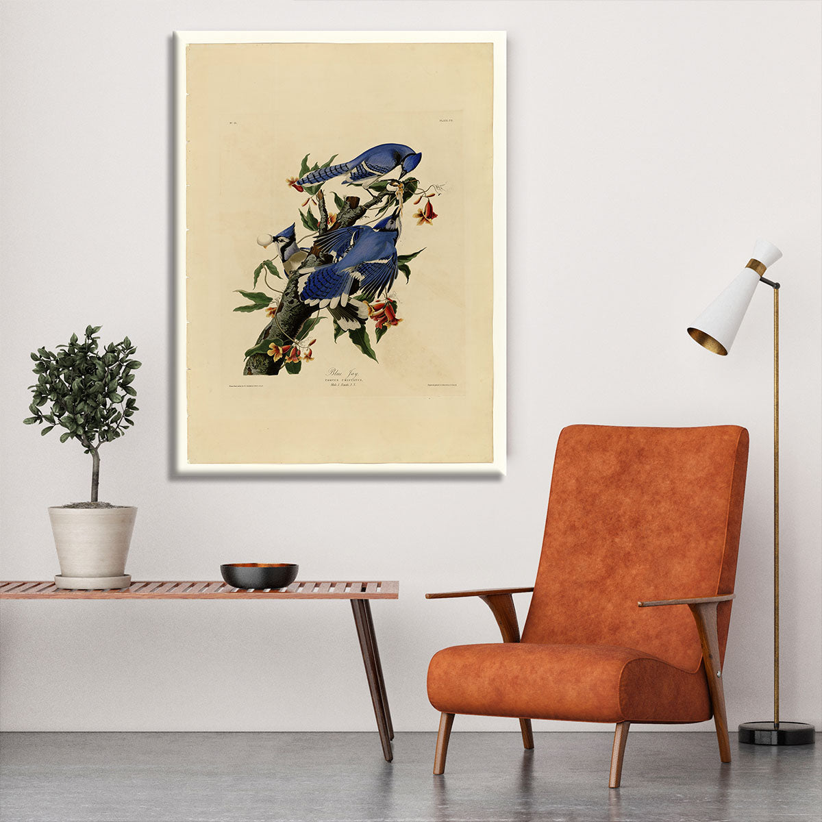 Blue Jay by Audubon Canvas Print or Poster - Canvas Art Rocks - 6