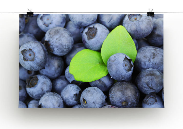 Blueberries Print - Canvas Art Rocks - 2
