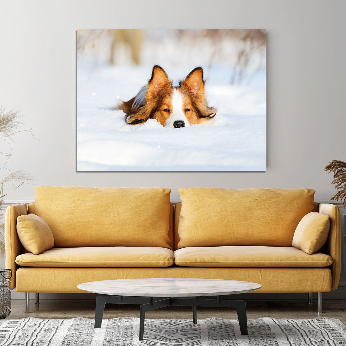 Border collie puppy 1 year old in winter Canvas Print or Poster - Canvas Art Rocks - 4