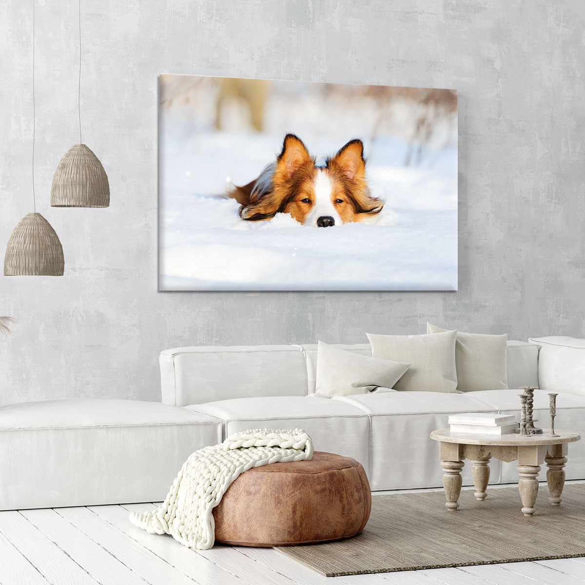Border collie puppy 1 year old in winter Canvas Print or Poster - Canvas Art Rocks - 6