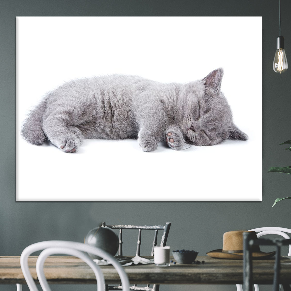 British kitten on white background Canvas Print or Poster - Canvas Art Rocks - 3