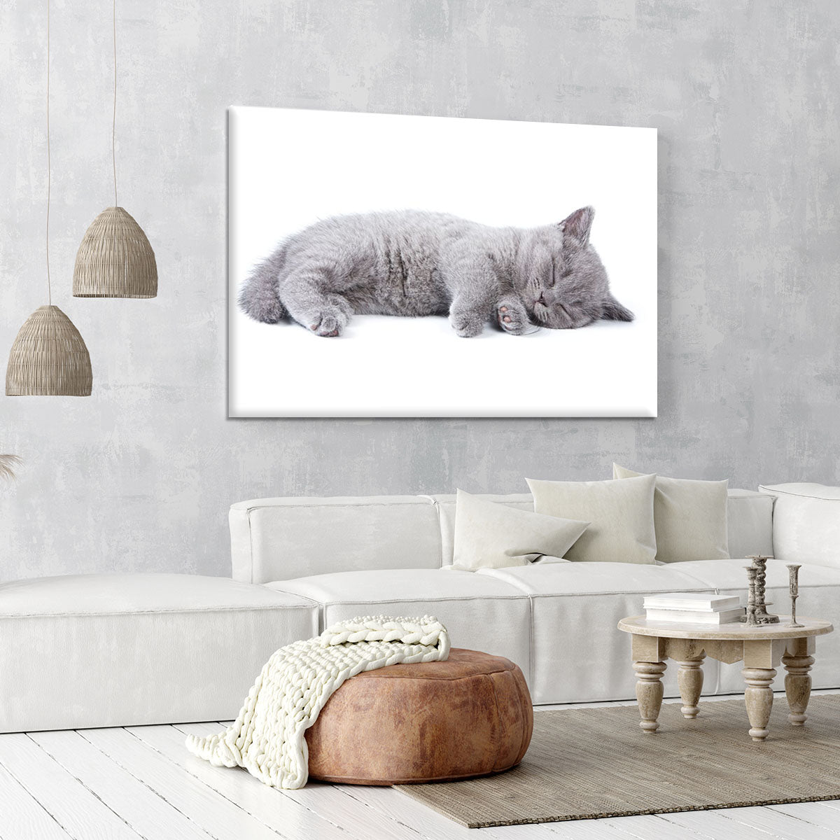 British kitten on white background Canvas Print or Poster - Canvas Art Rocks - 6