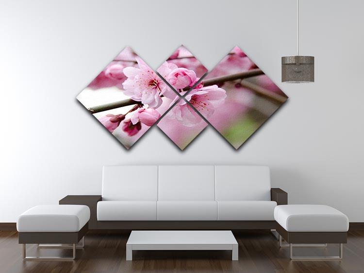 Broken blooming cherry branch 4 Square Multi Panel Canvas  - Canvas Art Rocks - 3