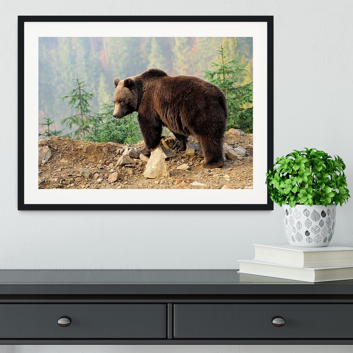 Brown Bear in forest Framed Print - Canvas Art Rocks - 1