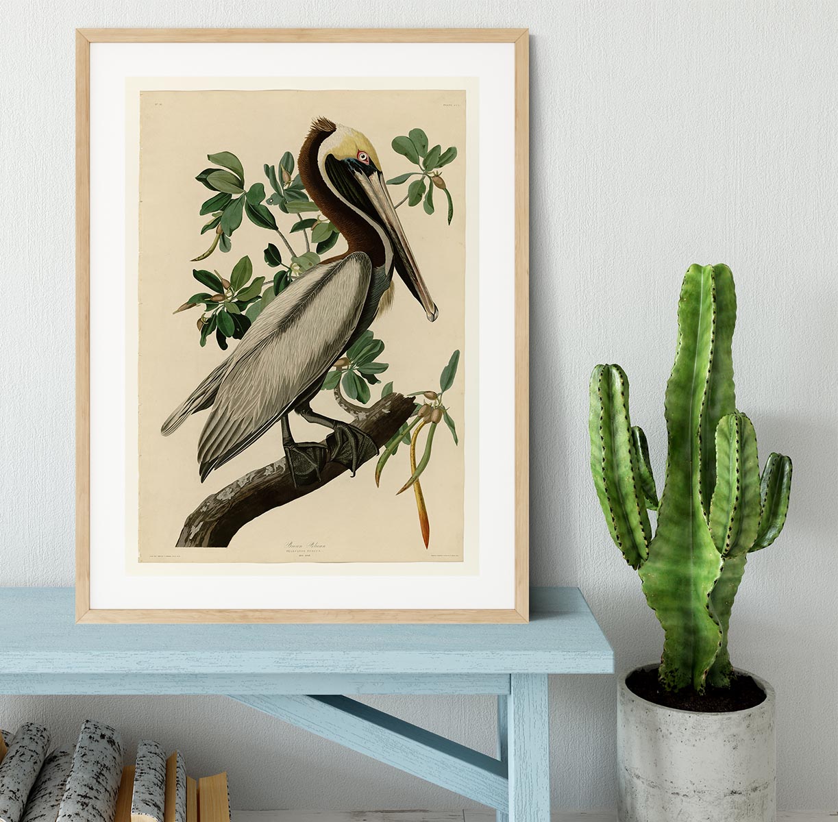 Brown Pelican 2 by Audubon Framed Print - Canvas Art Rocks - 3
