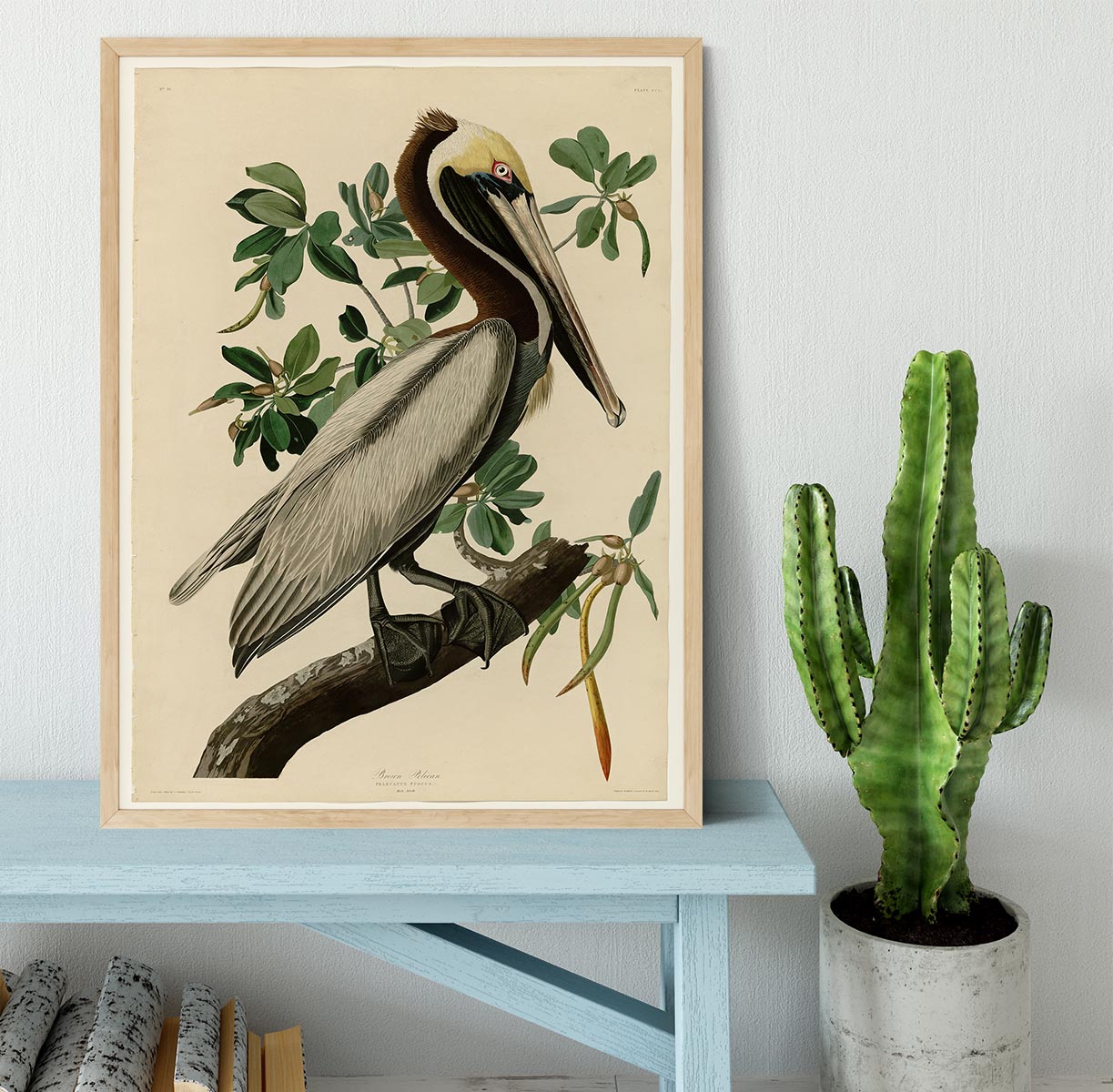 Brown Pelican 2 by Audubon Framed Print - Canvas Art Rocks - 4