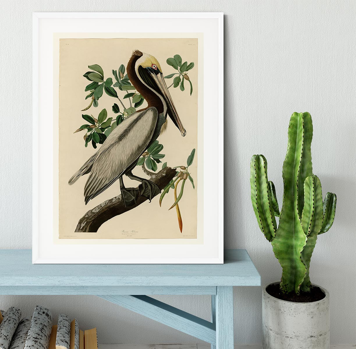 Brown Pelican 2 by Audubon Framed Print - Canvas Art Rocks - 5
