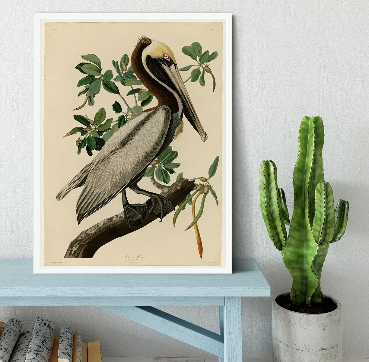 Brown Pelican 2 by Audubon Framed Print - Canvas Art Rocks -6