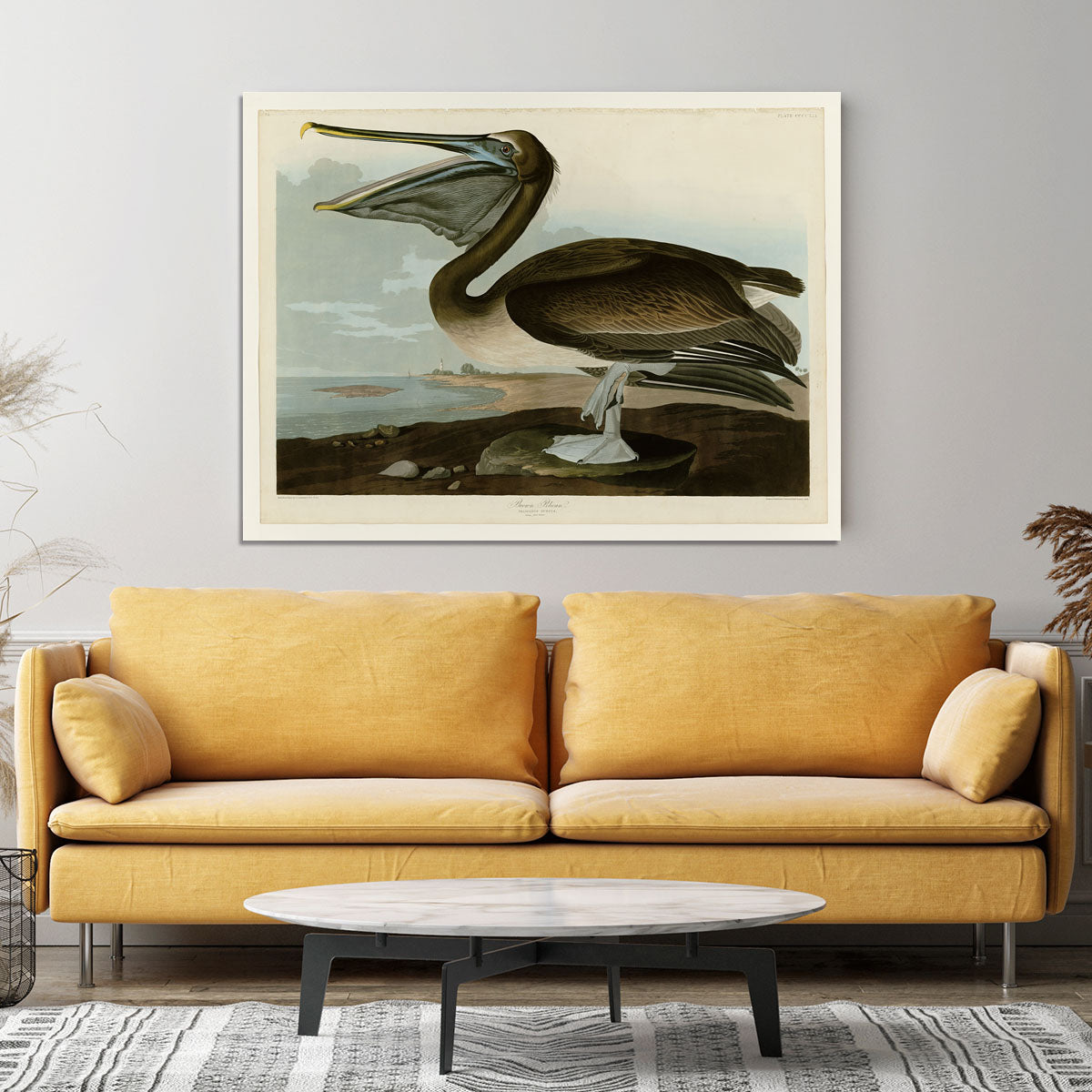 Brown Pelican by Audubon Canvas Print or Poster - Canvas Art Rocks - 4