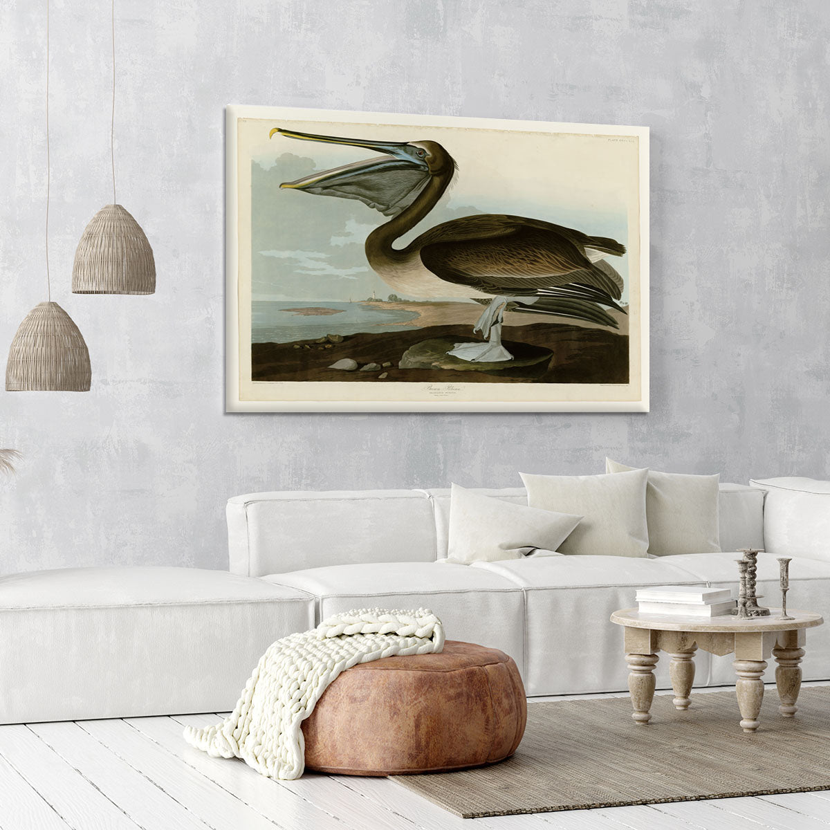 Brown Pelican by Audubon Canvas Print or Poster - Canvas Art Rocks - 6