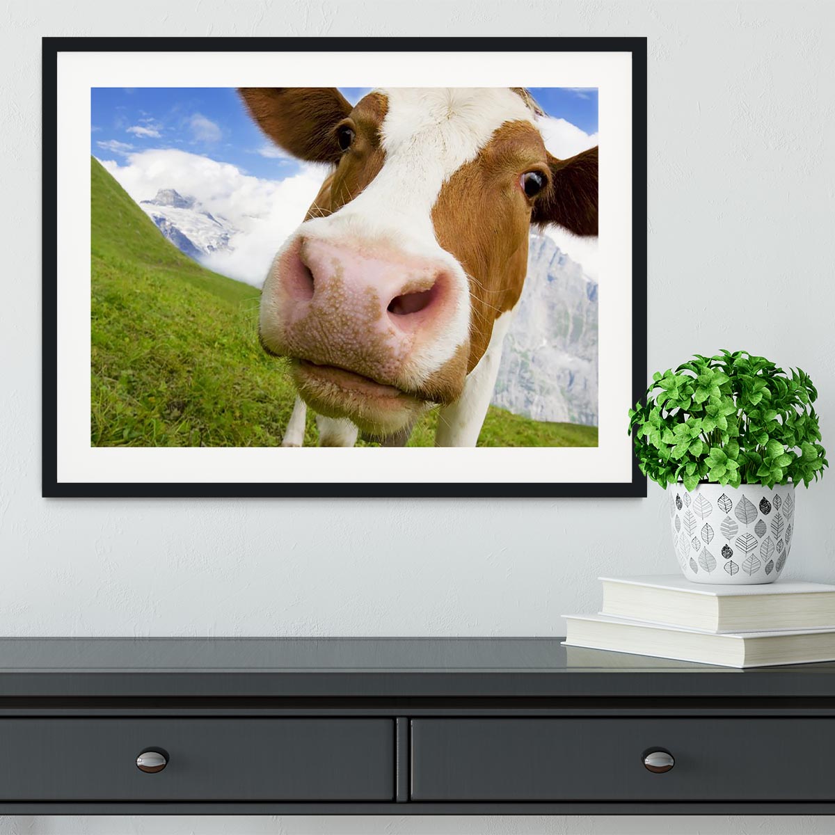 Brown and white cow in the alps Framed Print - Canvas Art Rocks - 1