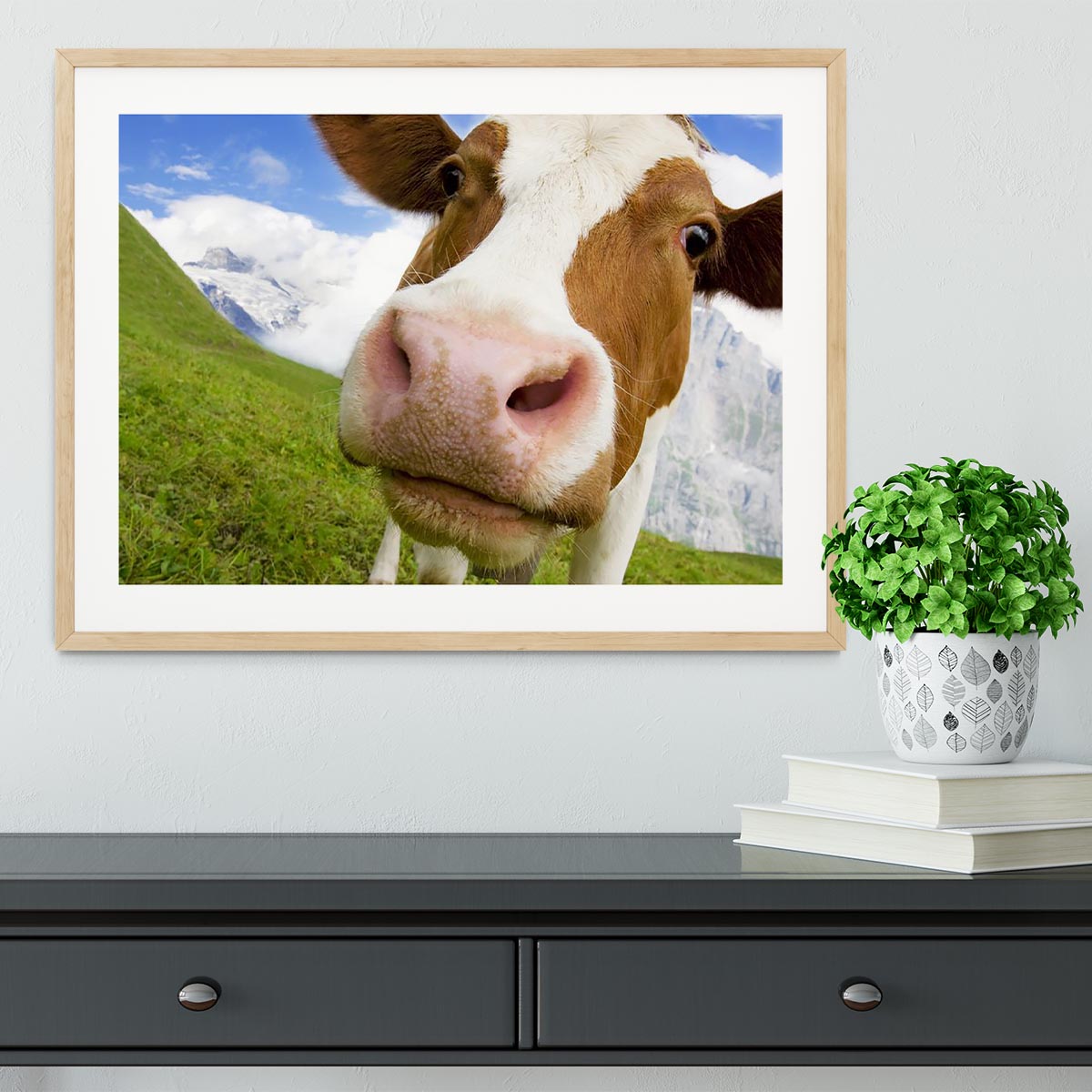 Brown and white cow in the alps Framed Print - Canvas Art Rocks - 3