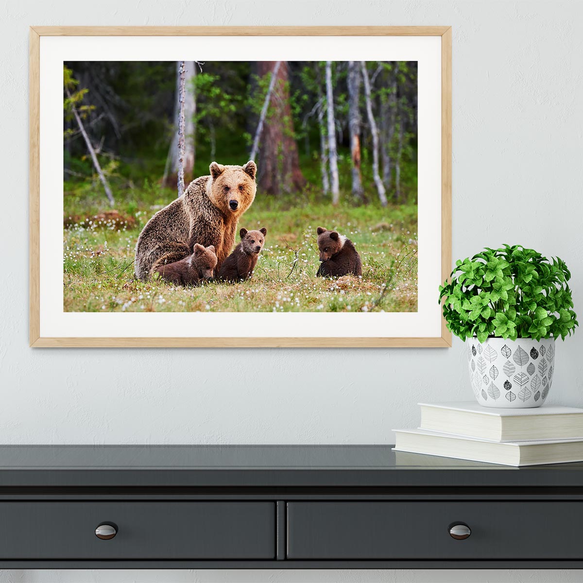 Brown mother bear protecting her cubs Framed Print - Canvas Art Rocks - 3