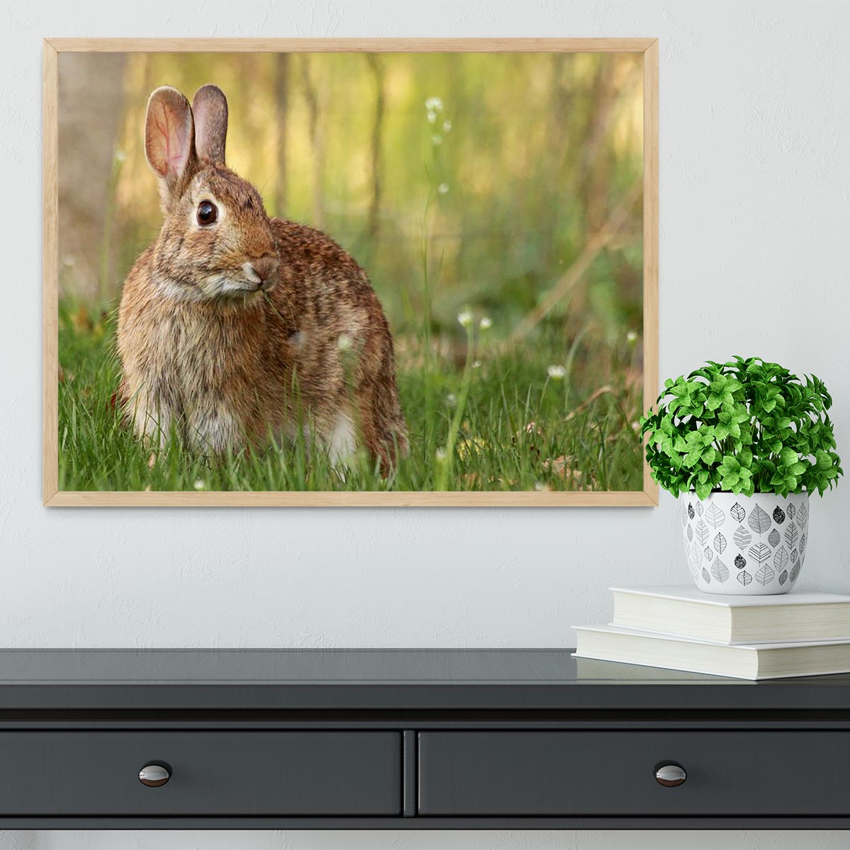 Brown rabbit looking into the camera Framed Print - Canvas Art Rocks - 4