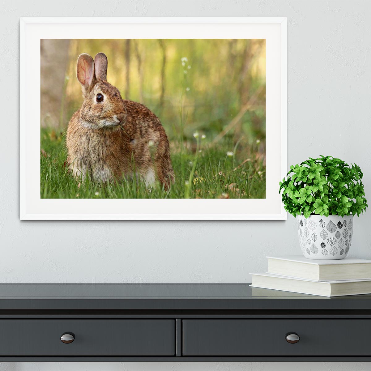 Brown rabbit looking into the camera Framed Print - Canvas Art Rocks - 5