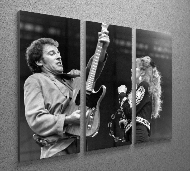 Bruce Springsteen and Patti Scialfa 3 Split Panel Canvas Print - Canvas Art Rocks - 2