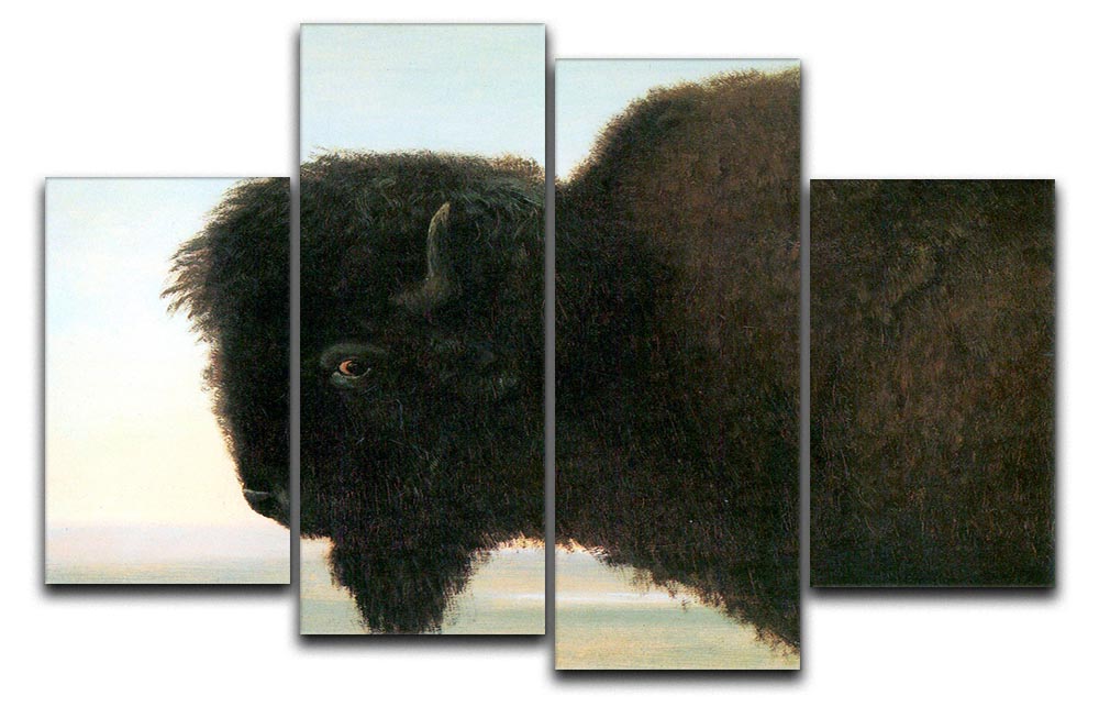 Buffalo Head by Bierstadt 4 Split Panel Canvas - Canvas Art Rocks - 1