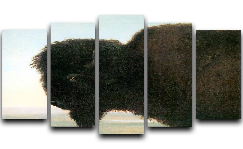 Buffalo Head by Bierstadt 5 Split Panel Canvas - Canvas Art Rocks - 1