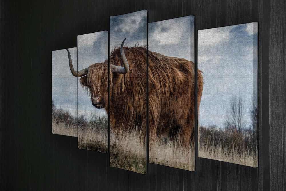 Bull 5 Split Panel Canvas